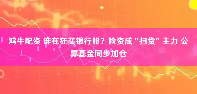 鸿牛配资 谁在狂买银行股？险资成“扫货”主力 公募基金同步加仓