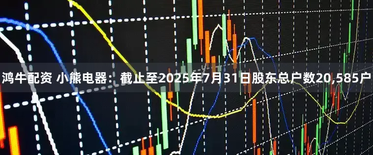 鸿牛配资 小熊电器：截止至2025年7月31日股东总户数20,585户