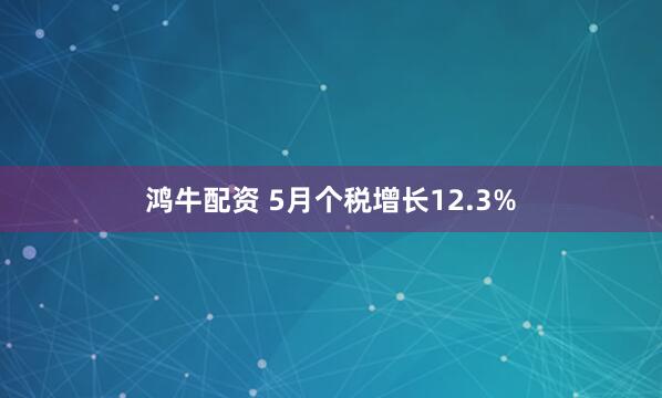 鸿牛配资 5月个税增长12.3%